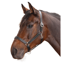 Capezza in cuoio per equitazione Star Diamond