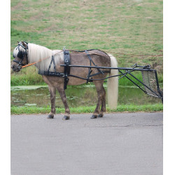 Imbracatura Star semplice Economica pony shetland Nero