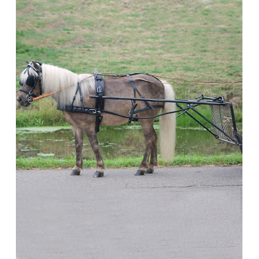Imbracatura Star semplice Economica pony shetland Nero