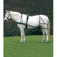 Imbracatura Star semplice Economic da cob a cavallo grande Nero
