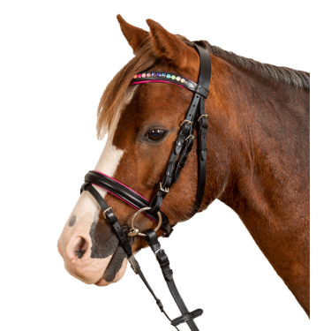 Bridon Star Pinky Nero Bridon Star Pinky Nero