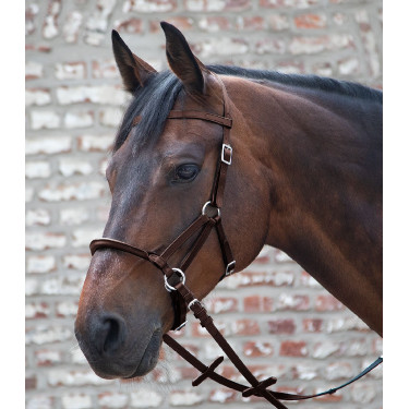 Filet senza imboccatura Linda Tellington-Jones Marrone