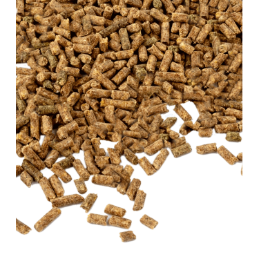 Vitamina E per cavalli Waldhausen – pellet 1 kg