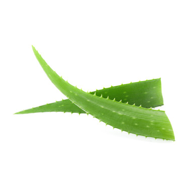 Spray lucidante aloe per cavalli 2,5 L | Equi-Clic Spray lucidante aloe per cavalli 2,5 L | Equi-Clic