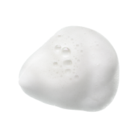 Shampoo Waldhausen Cassis Viola