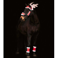 Set di Natale Waldhausen cavallo Rosso