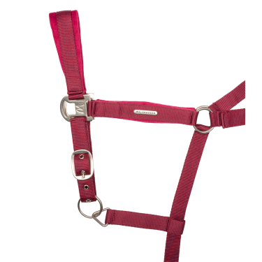 Capezza e lunghina Waldhausen Velvet Granata Rosa