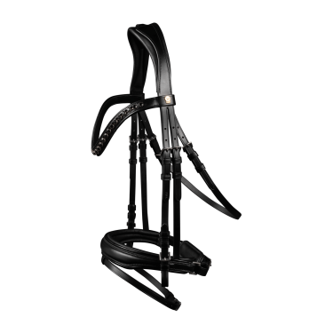 Briglia verniciata Waldhausen S-Line Blackshine capezzina combinata pull back Nero Briglia verniciata Waldhausen S-Line Blackshine capezzina combinata pull back Nero