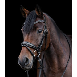 Briglia verniciata Waldhausen S-Line Blackshine capezzina combinata pull back Nero Briglia verniciata Waldhausen S-Line Blackshine capezzina combinata pull back Nero