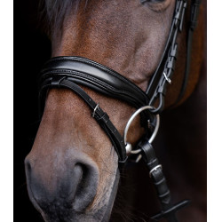 Briglia verniciata Waldhausen S-Line Blackshine capezzina combinata pull back Nero Briglia verniciata Waldhausen S-Line Blackshine capezzina combinata pull back Nero