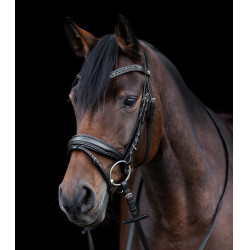 Briglia verniciata Waldhausen S-Line Blackshine capezzina combinata pull back Nero Briglia verniciata Waldhausen S-Line Blackshine capezzina combinata pull back Nero