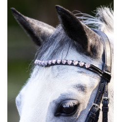 Bridon Waldhausen Happy Hearts Nero