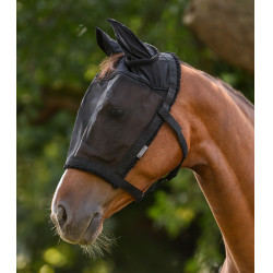 Capezza da pascolo con maschera antimosche equitazione