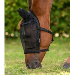 Capezza da pascolo con maschera antimosche equitazione