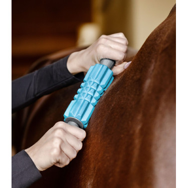 Rulli massaggianti Waldhausen Health + Care Blu Rulli massaggianti Waldhausen Health + Care Blu