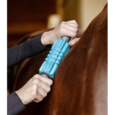 Rulli massaggianti Waldhausen Health + Care Blu Rulli massaggianti Waldhausen Health + Care Blu