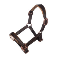 Capezza in pelle oro rosa Hobby Horsing - HKM Marrone