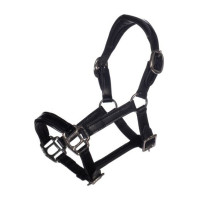 Capezzina in cuoio verniciato Hobby Horsing - HKM
