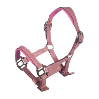Capezzina in cuoio Pink Hobby Horsing - HKM Rosa
