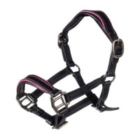 Capezzina in cuoio Manchester Hobby Horsing HKM Nero / fucsia