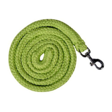 Lunga HKM Glow-Line con moschettone Verde