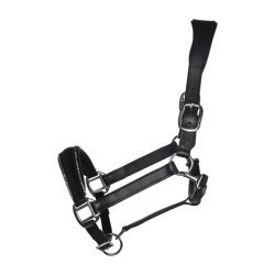 Capezza in cuoio HKM Glamour Nero / argento