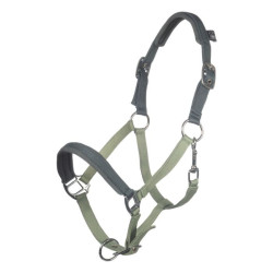 Capezza pony Shetland HKM Barnie per equitazione