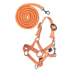 Capezza e lunghina HKM Hobby Horsing Basic Arancione