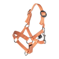 Capezza e lunghina HKM Hobby Horsing Basic Arancione