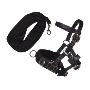 Set da longe HKM Hobby Horse Nero