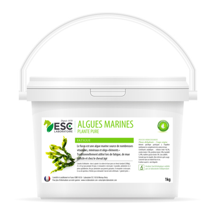 Alghe Marine ESC Laboratoire