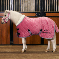Coperta da scuderia HV Polo Sacha Pensa in rosa