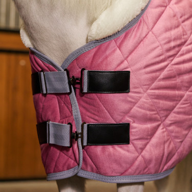 Coperta da scuderia HV Polo Sacha Pensa in rosa