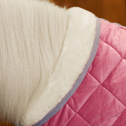 Coperta da scuderia HV Polo Sacha Pensa in rosa