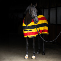 Coperta in pile Imperial Riding Stripe Oro