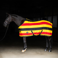 Coperta in pile Imperial Riding Stripe Oro