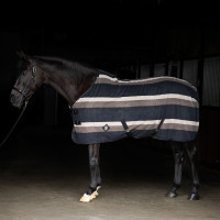 Coperta in pile Imperial Riding Stripe Oro