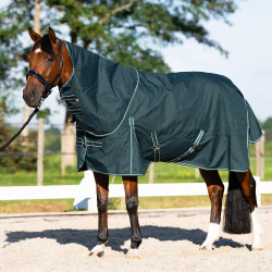Coperta da paddock Imperial Riding Basic con copricollo rimovibile Summer Verde