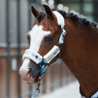 Capezza Imperial Riding Little Champion Azzurro chiaro Blu