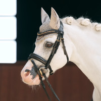 Cuffietta auricolare Imperial Riding Bandit Talpa Marrone