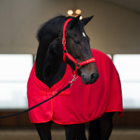 Capestro Imperial Riding Devil Rosso