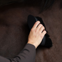 Spazzola Dandy per pelo lungo Euro-Star Belleza Nero Spazzola Dandy per pelo lungo Euro-Star Belleza Nero