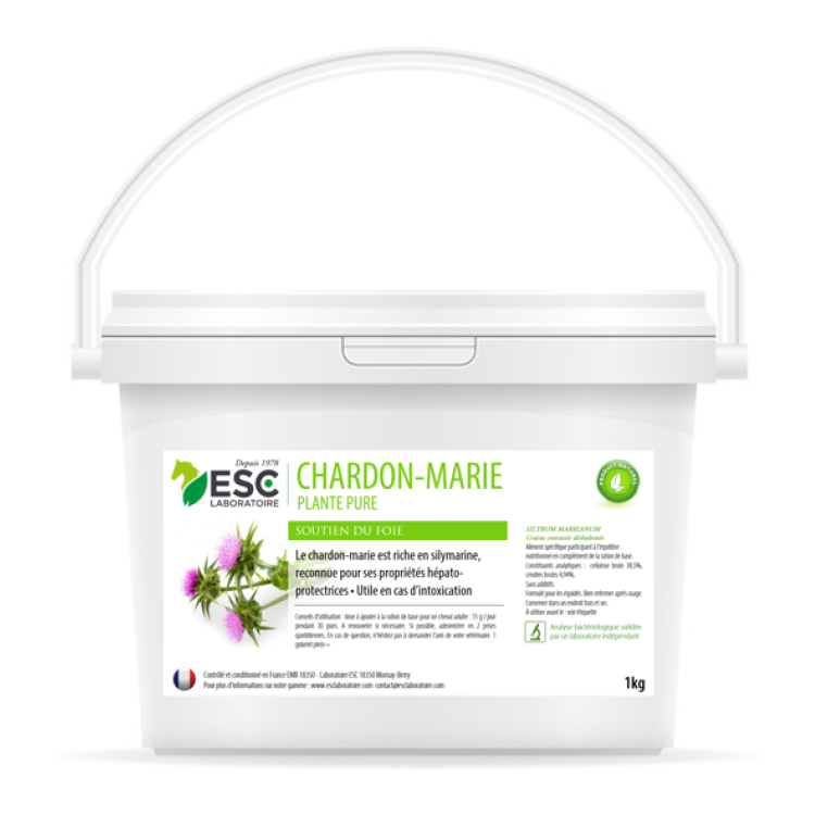 Cardo Mariano ESC Laboratoire
