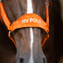 Capestro HV Polo Luxury Zucca Arancione
