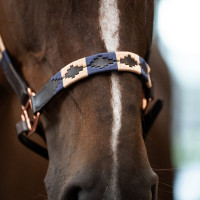 Capezzina HV Polo Chaya Marrone / blu navy
