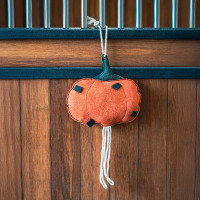 Gioco da box HV Polo Pumpkin Zucca Multicolore