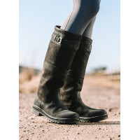 Cumberland RR Mountain Horse Nero