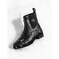 Veganza Young Winter Paddock Mountain Horse