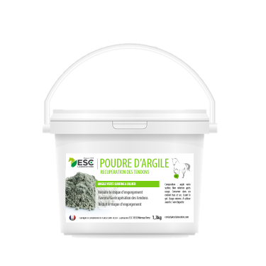 Polvere d'Argilla ESC Laboratoire Polvere d'Argilla ESC Laboratoire