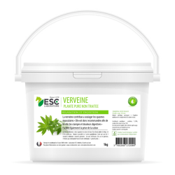 Verveina ESC Laboratoire